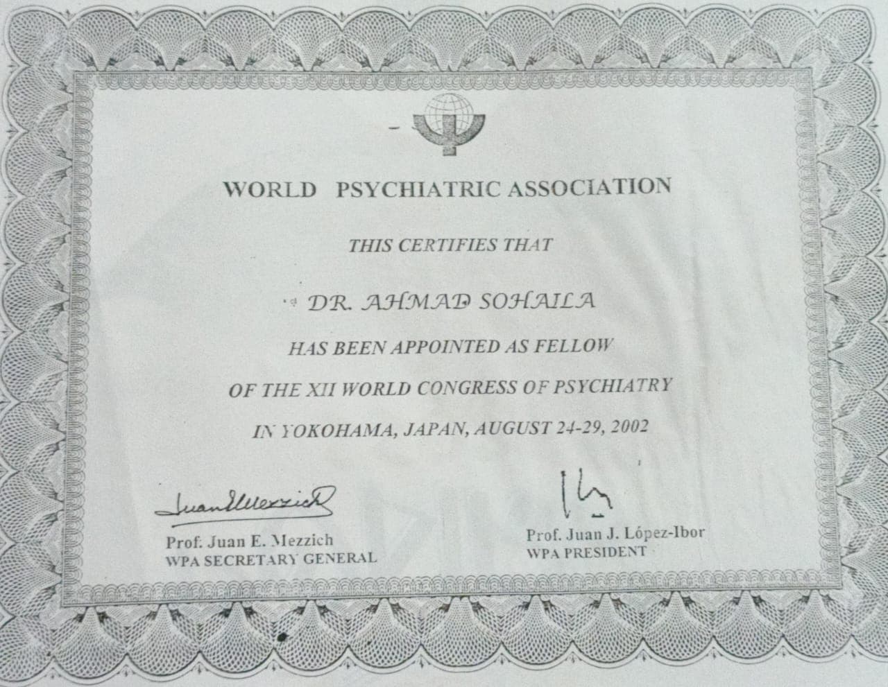 World Psychiatric Association